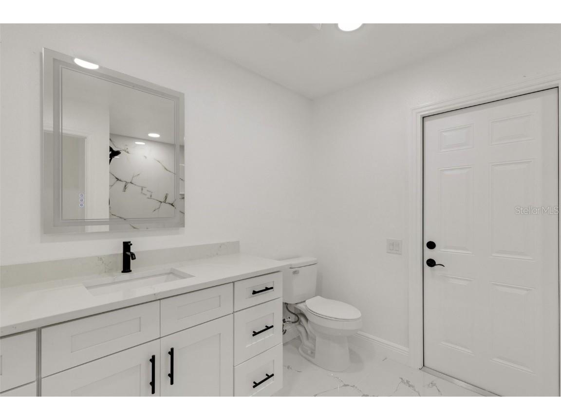 5345 Bold Venture Place Wesley Chapel FL 33544 TB8407276 image87