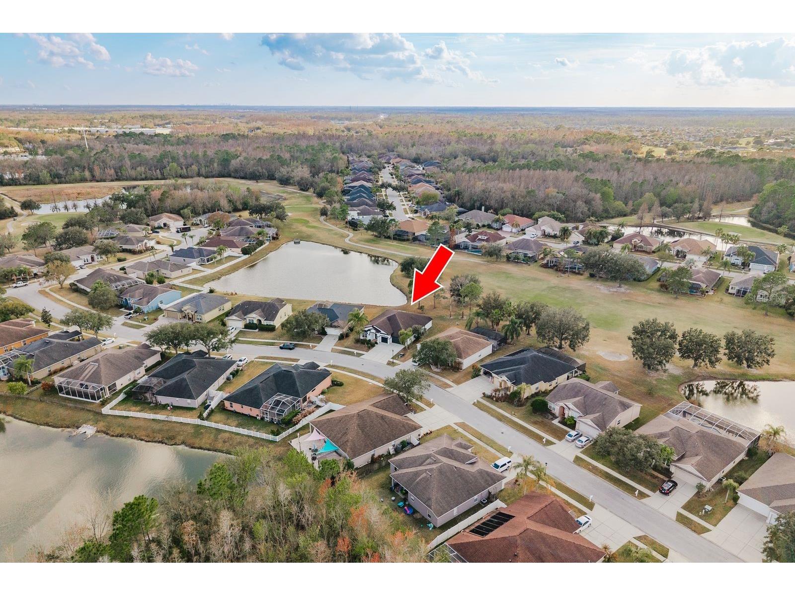 5345 Bold Venture Place Wesley Chapel FL 33544 TB8477304 image2