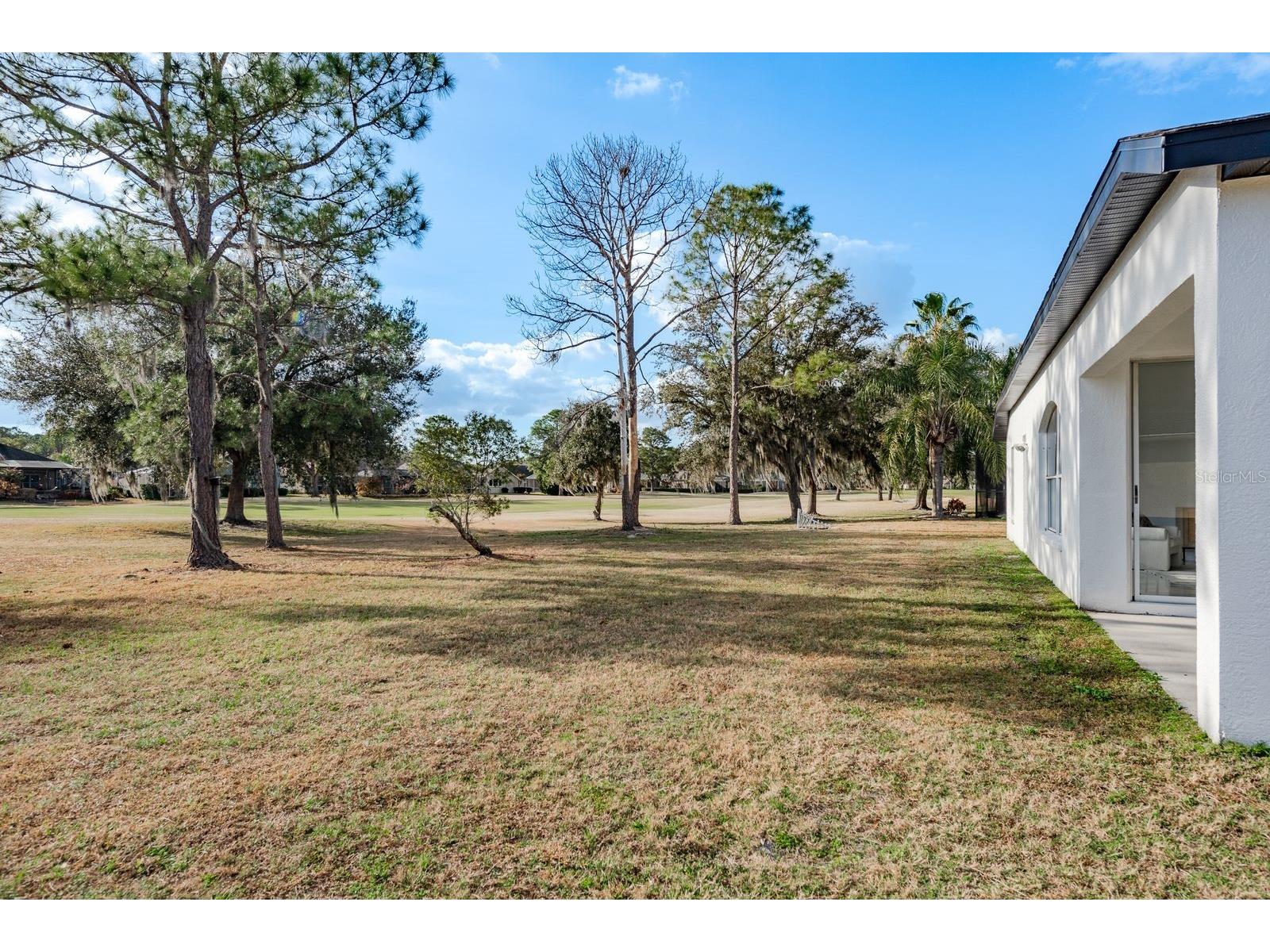 5345 Bold Venture Place Wesley Chapel FL 33544 TB8477304 image35