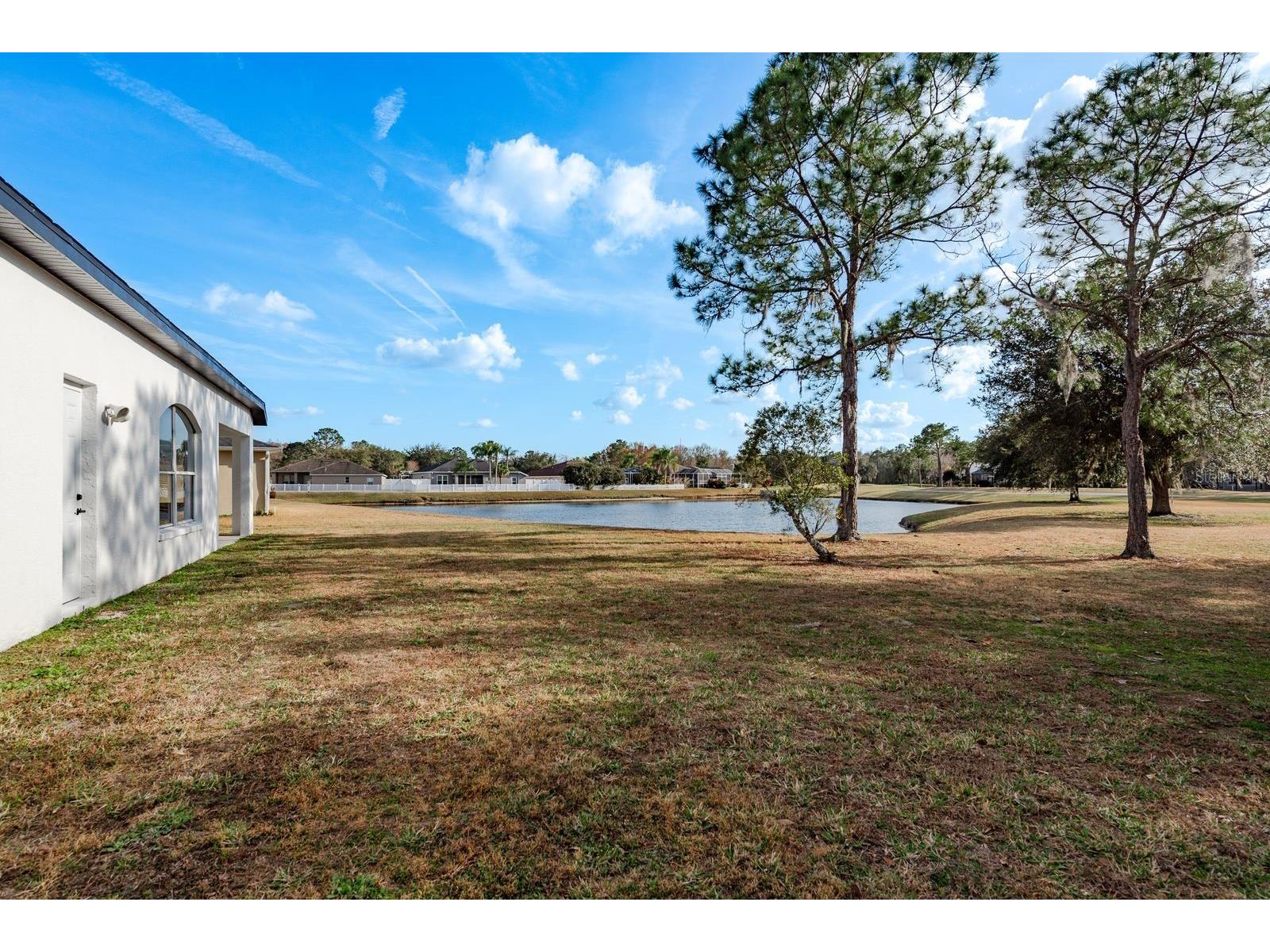 5345 Bold Venture Place Wesley Chapel FL 33544 TB8477304 image37