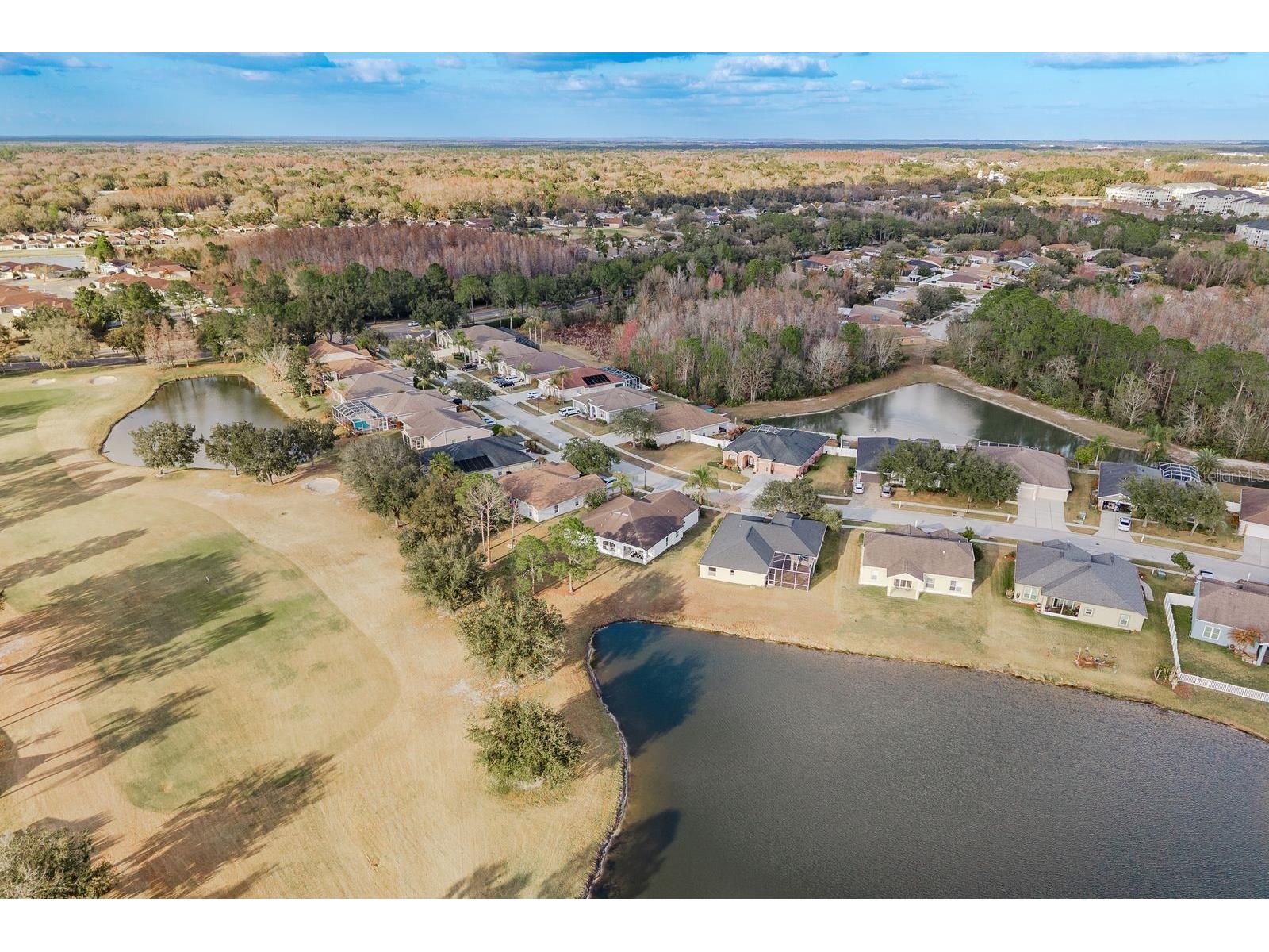 5345 Bold Venture Place Wesley Chapel FL 33544 TB8477304 image39