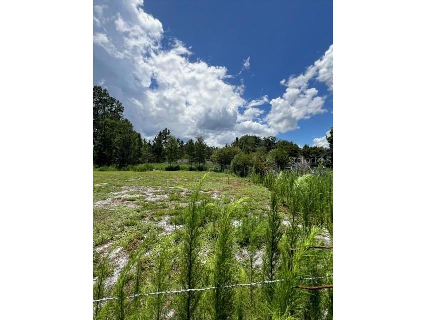 5345 S Fork Ranch Drive Clermont FL 34714 G5113954 image26
