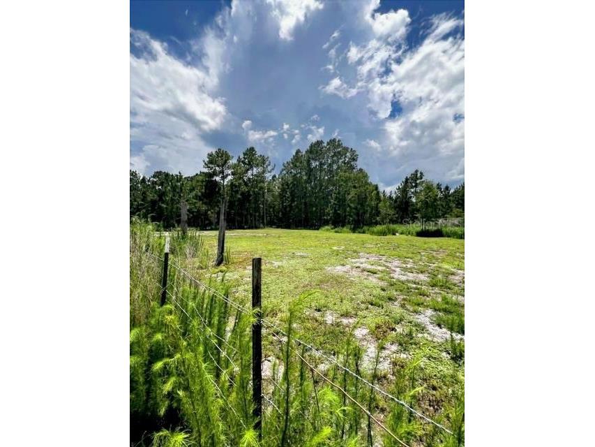 5345 S Fork Ranch Drive Clermont FL 34714 G5113954 image7