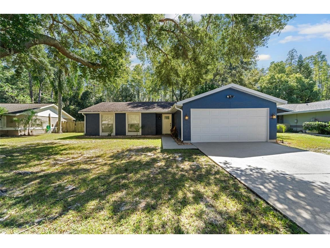 5346 Black Pine Drive Tampa FL 33624 T3481024 image1