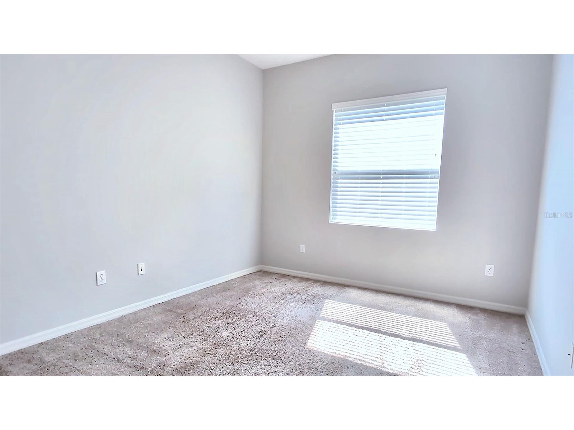 5347 Cappleman Loop Brooksville FL 34601 W7880521 image18