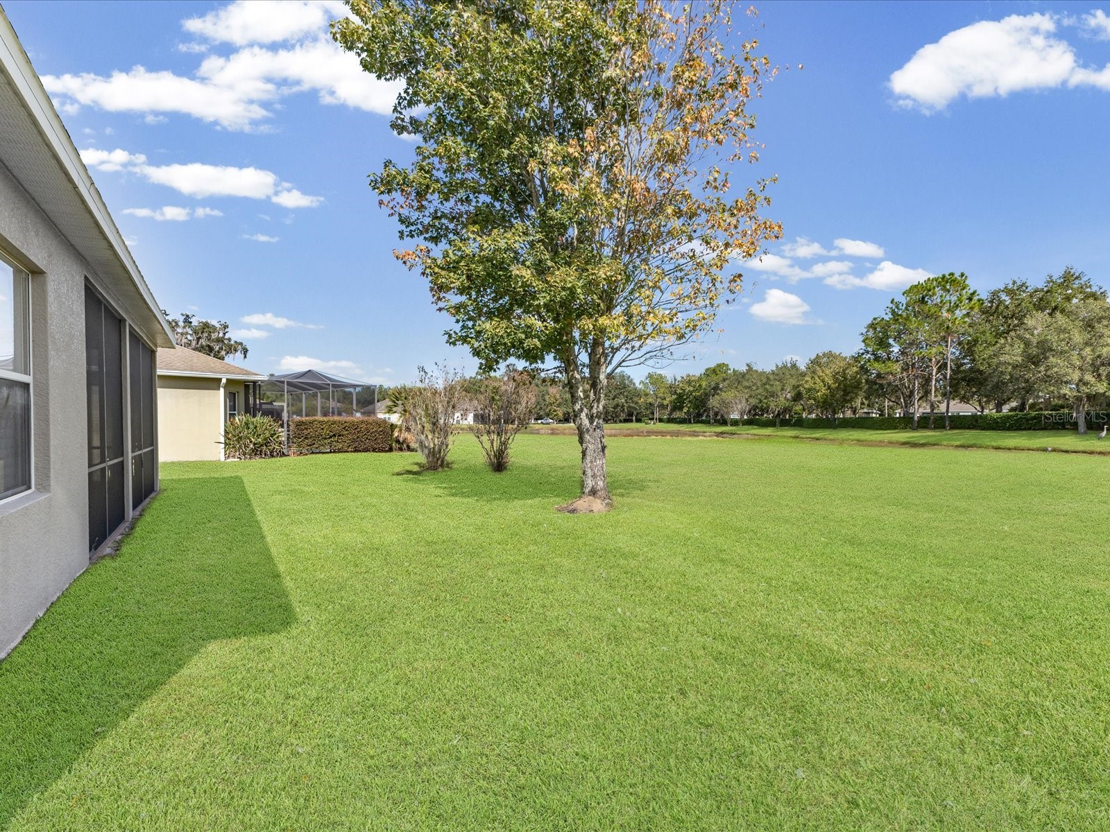 5347 Cappleman Loop Brooksville FL 34601 W7880521 image25