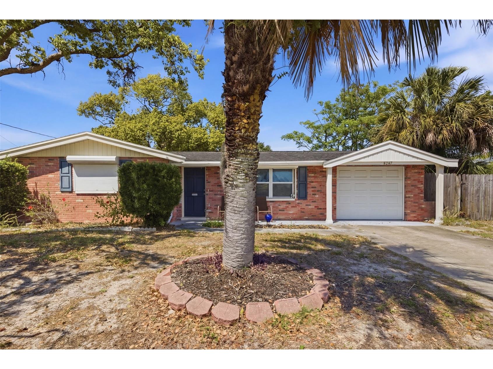 5347 Flora Avenue Holiday FL 34690 TB8493389 image1