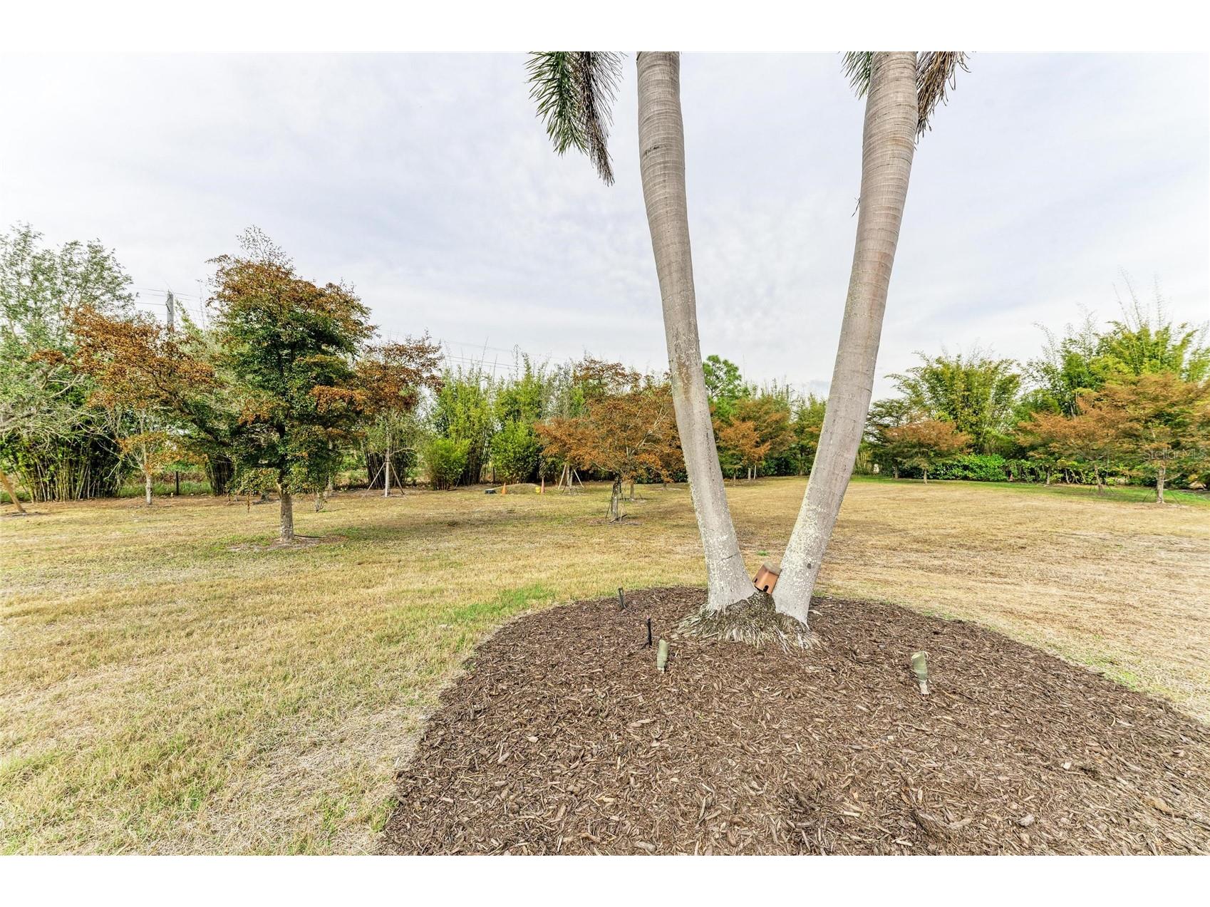 5348 Palangos Drive Punta Gorda FL 33982 C7522720 image57