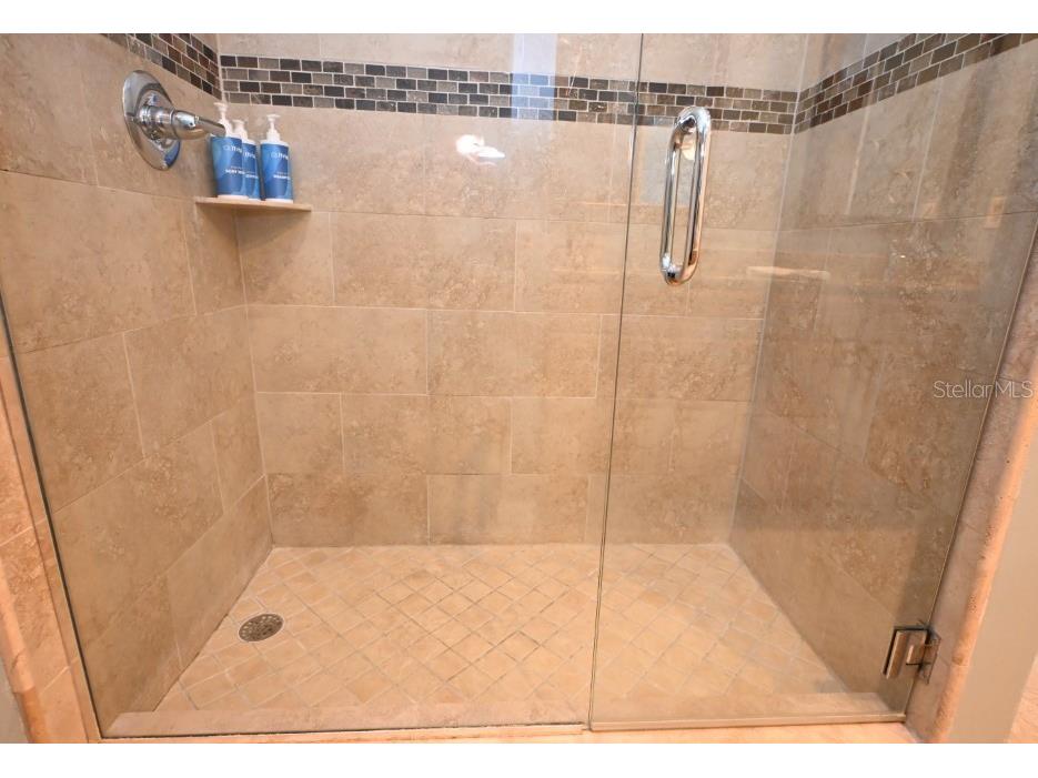 5348 Saddlebrook Way #2 Wesley Chapel FL 33543 TB8372282 image24