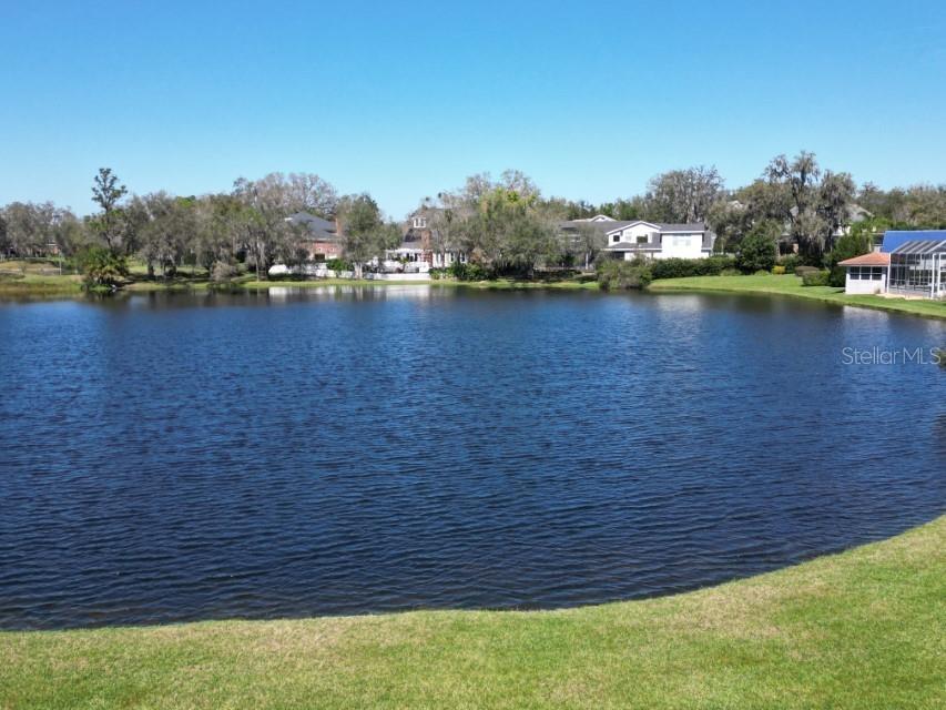 5348 Saddlebrook Way #2 Wesley Chapel FL 33543 TB8372282 image26