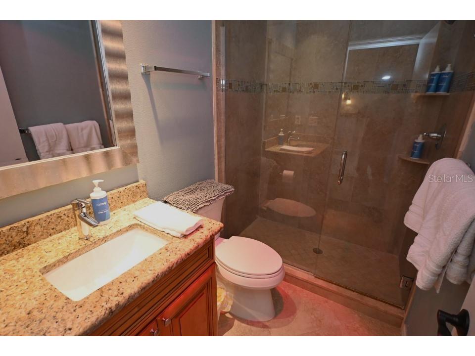 5348 Saddlebrook Way #2 Wesley Chapel FL 33543 TB8372282 image29