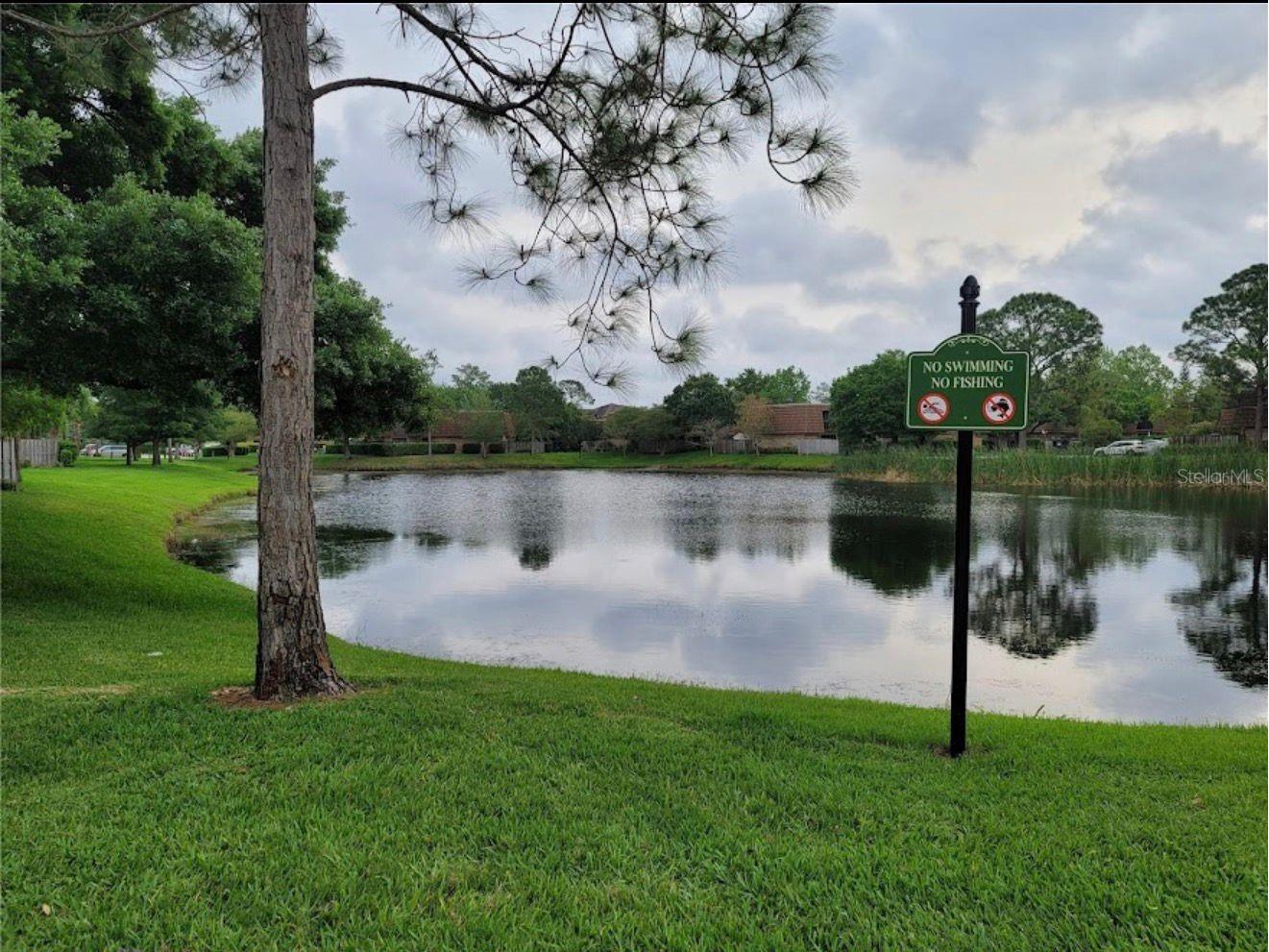 5349 Bamboo Court #416 Orlando FL 32811 S5150572 image25