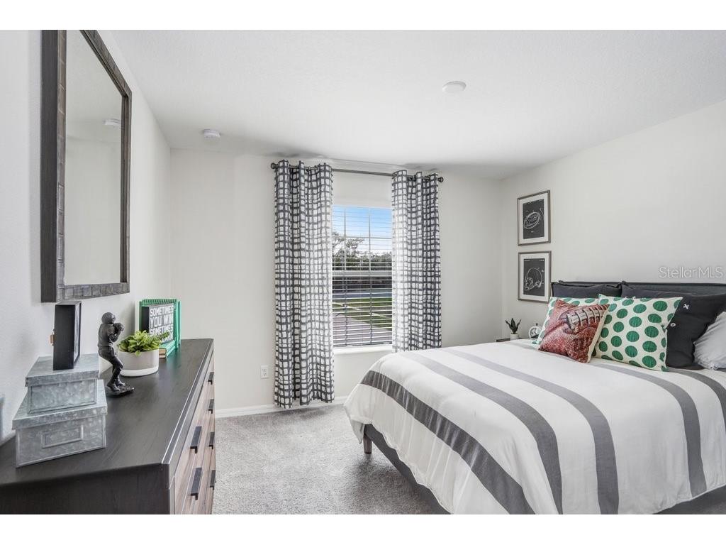 5349 Coldpine Place Seffner FL 33584 TB8448042 image19