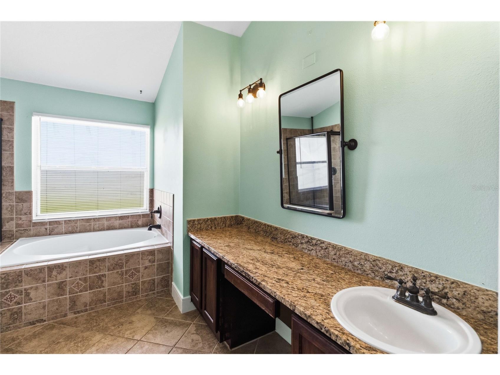 535 Cornwallis Drive Davenport FL 33897 O6424741 image17