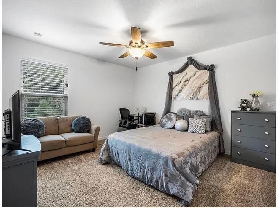 535 Darshire Avenue Eustis FL 32736 O6405646 image17