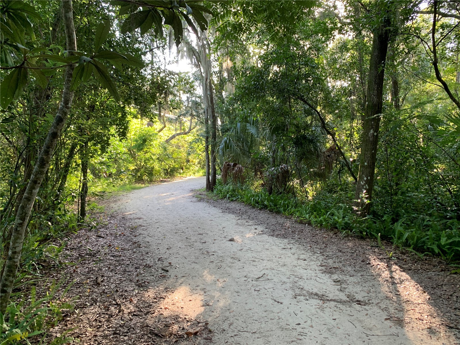 535 Pawnee Trail Maitland FL 32751 O6389344 image58
