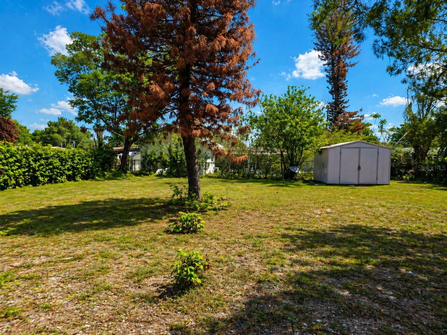 535 Romano Avenue Orlando FL 32807 O6376707 image30