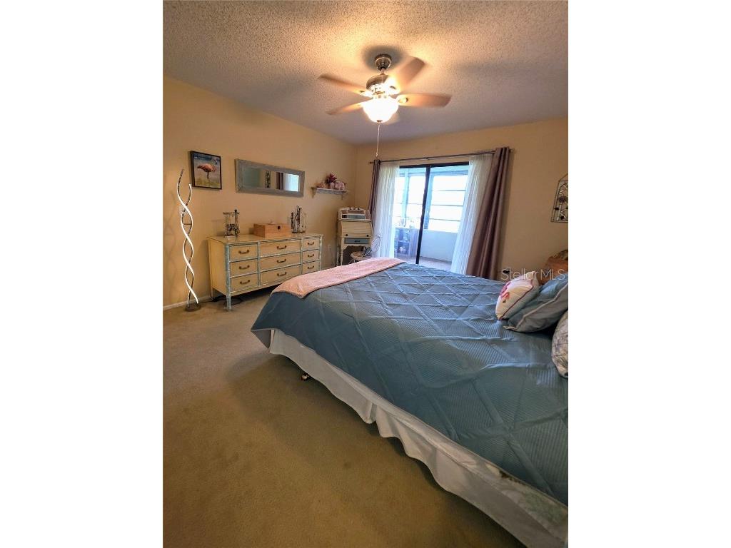 535 Spring Lakes Boulevard Bradenton FL 34210 A4638604 image24