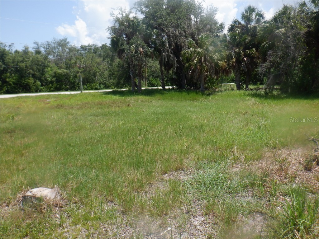 5350 Koons Drive Port Richey FL 34668 W7866855 image10