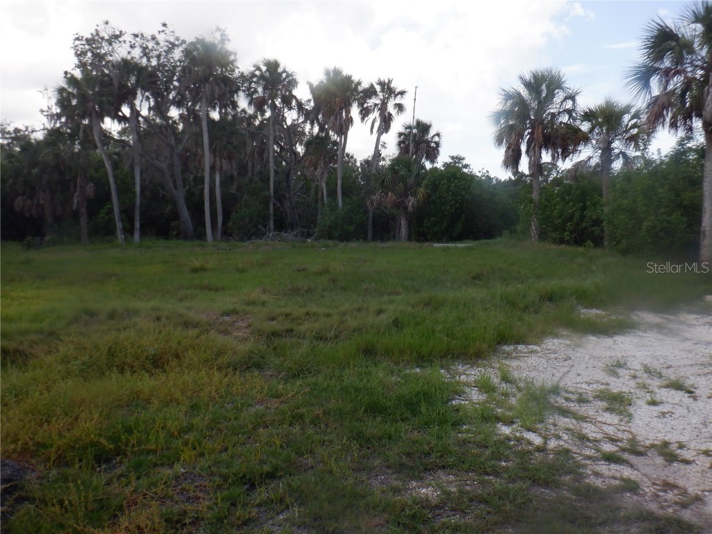 5350 Koons Drive Port Richey FL 34668 W7866855 image11