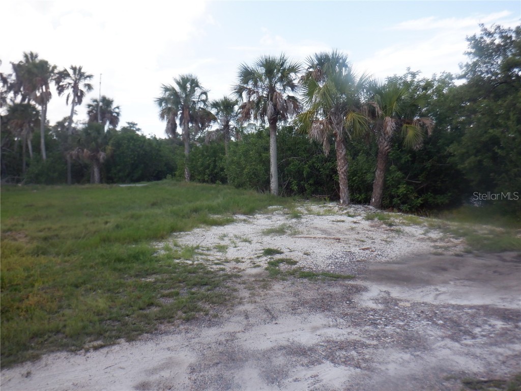 5350 Koons Drive Port Richey FL 34668 W7866855 image14