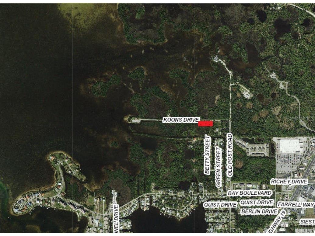 5350 Koons Drive Port Richey FL 34668 W7866855 image20