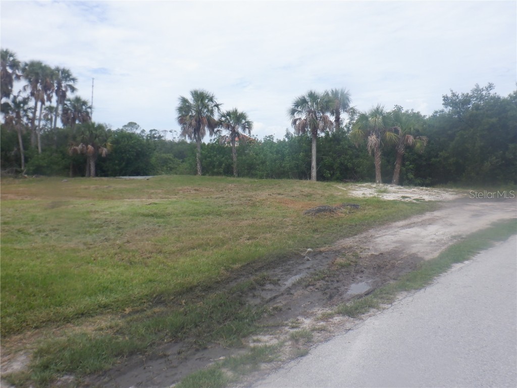 5350 Koons Drive Port Richey FL 34668 W7866855 image4