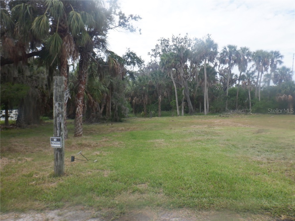 5350 Koons Drive Port Richey FL 34668 W7866855 image5