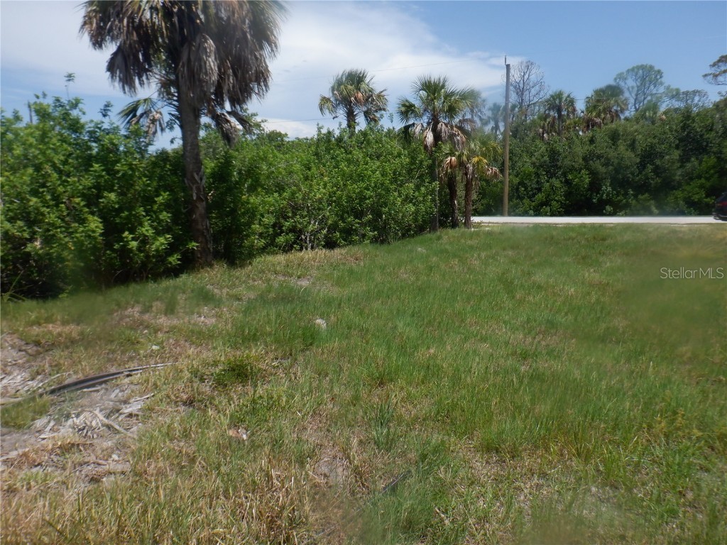 5350 Koons Drive Port Richey FL 34668 W7866855 image8