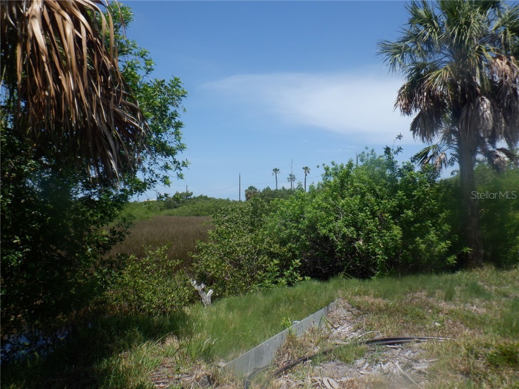 5350 Koons Drive Port Richey FL 34668 W7866855 image9