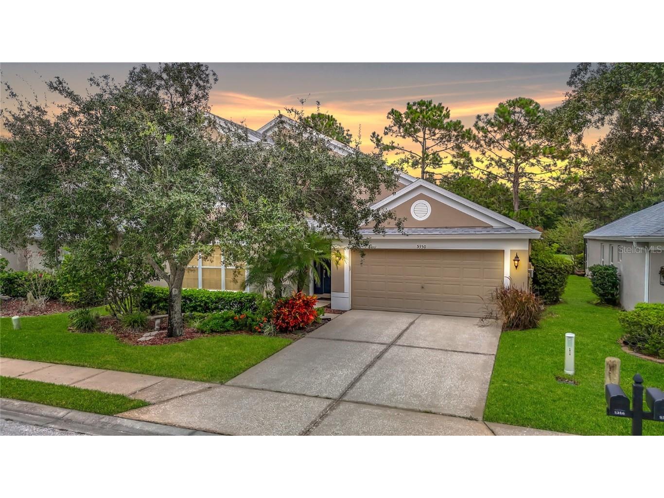 5350 Lookout Pass Wesley Chapel FL 33544 TB8426263 image1