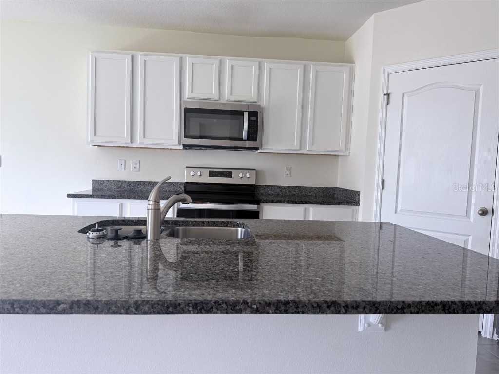 5350 Pine Lilly Drive Saint Cloud FL 34771 O6365885 image10