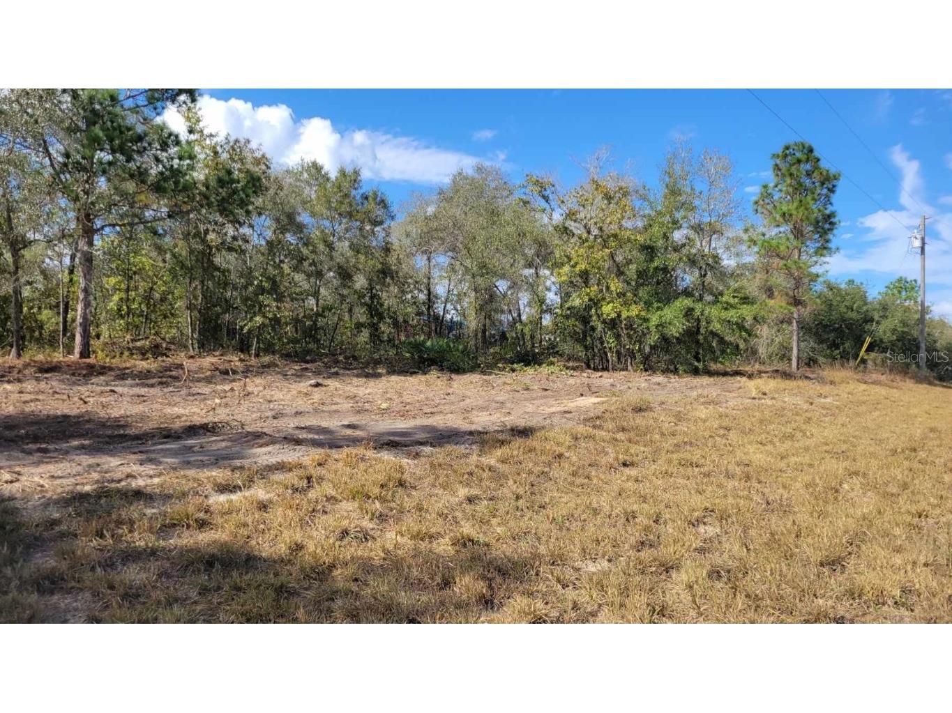 5350 SE 128th Terrace Morriston FL 32668 OM653138 image1