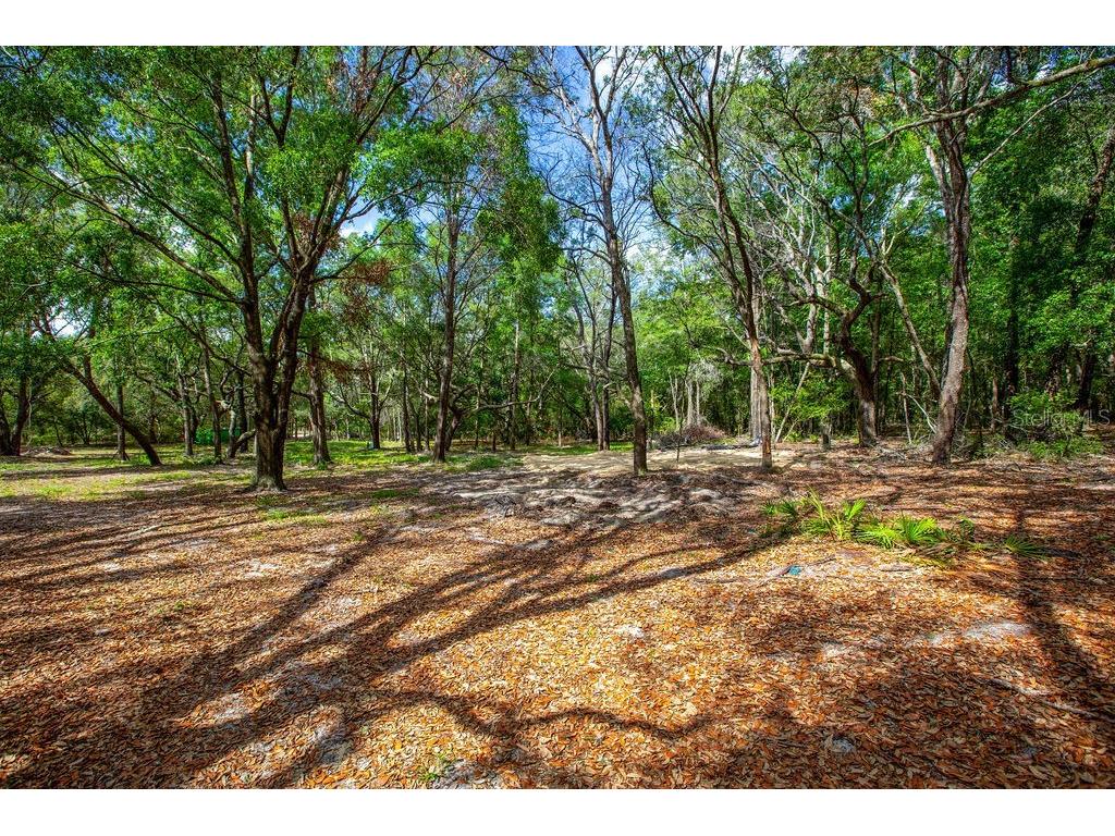 5350 SE 3rd Lane Trenton FL 32693 GC540642 image1