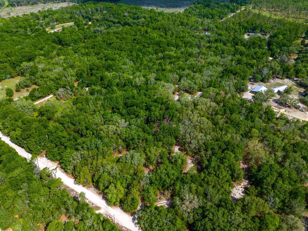 5350 SE 3rd Lane Trenton FL 32693 GC540642 image12