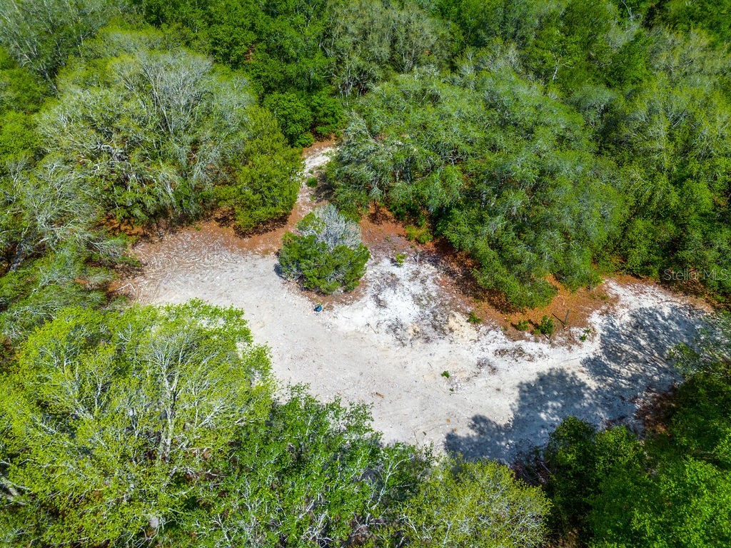 5350 SE 3rd Lane Trenton FL 32693 GC540642 image13