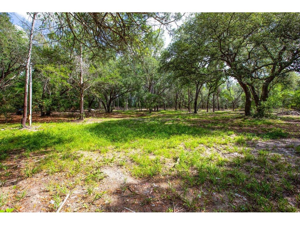 5350 SE 3rd Lane Trenton FL 32693 GC540642 image18