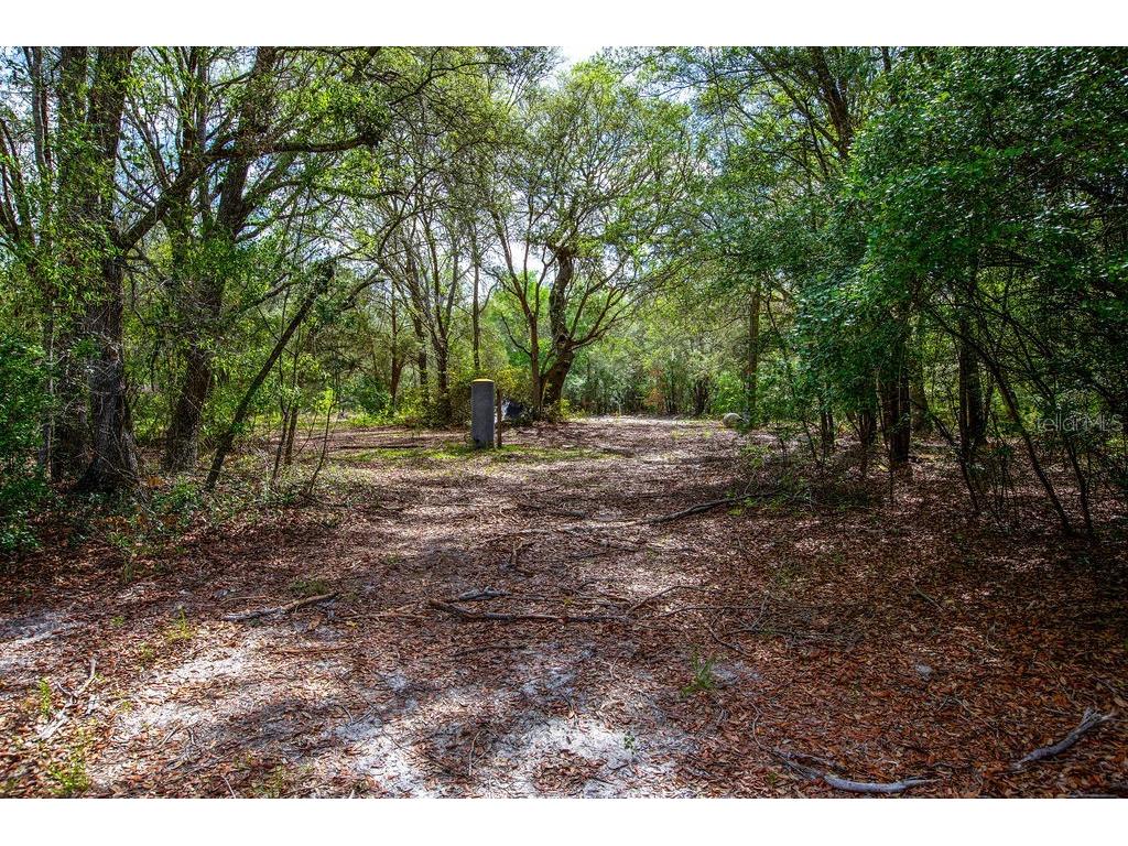 5350 SE 3rd Lane Trenton FL 32693 GC540642 image2