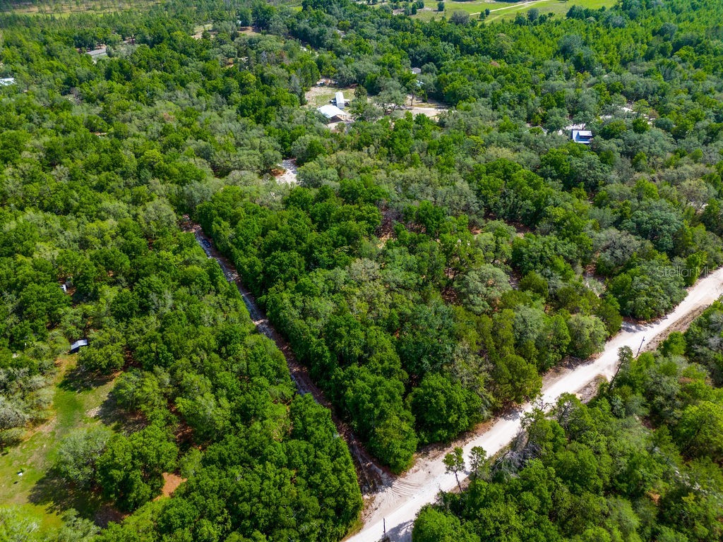5350 SE 3rd Lane Trenton FL 32693 GC540642 image21