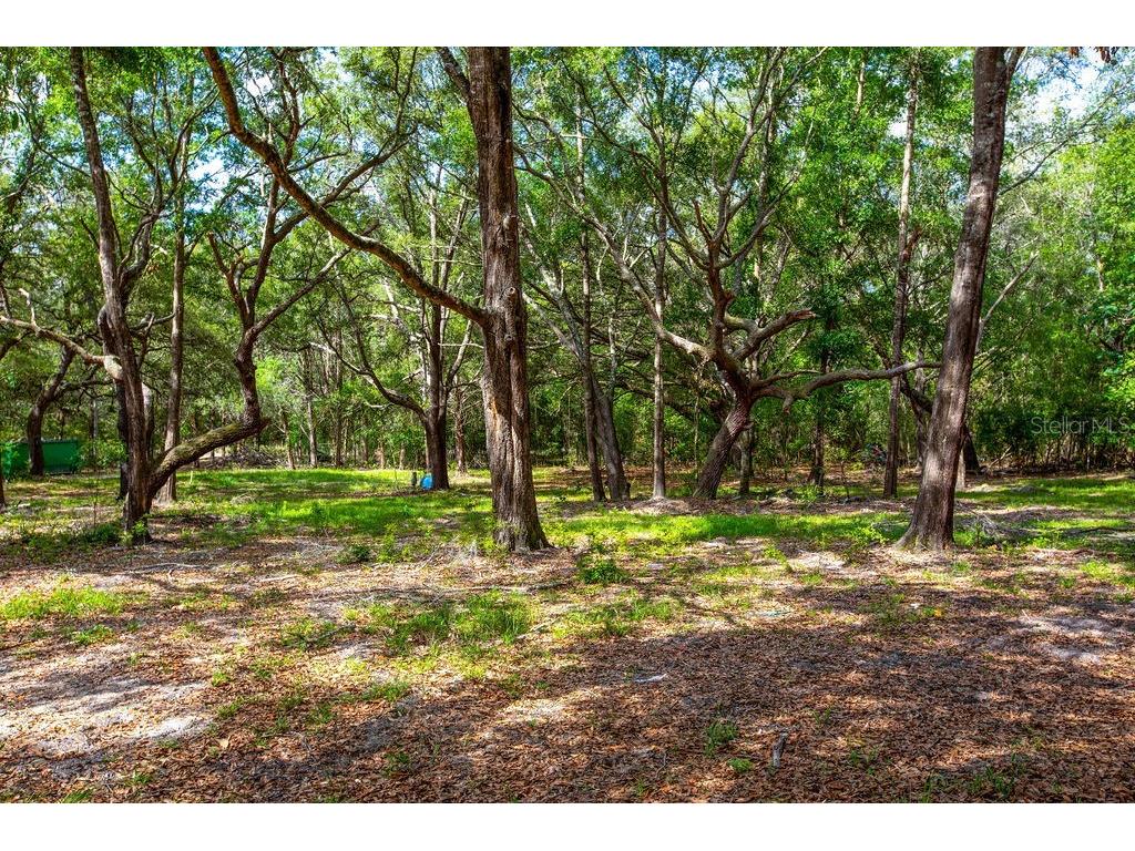 5350 SE 3rd Lane Trenton FL 32693 GC540642 image3
