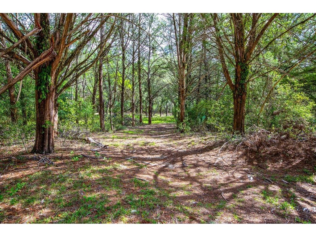5350 SE 3rd Lane Trenton FL 32693 GC540642 image4
