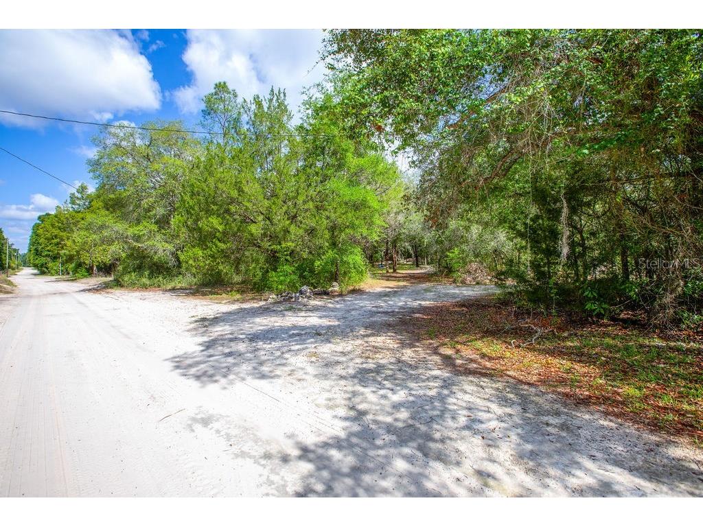 5350 SE 3rd Lane Trenton FL 32693 GC540642 image5