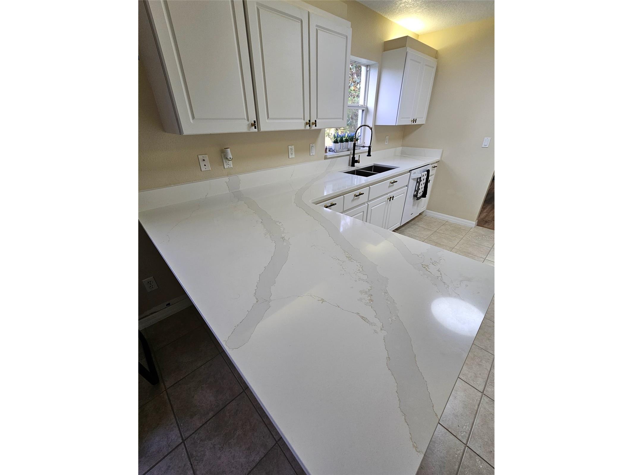 5351 Aurora Drive Leesburg FL 34748 O6414429 image14