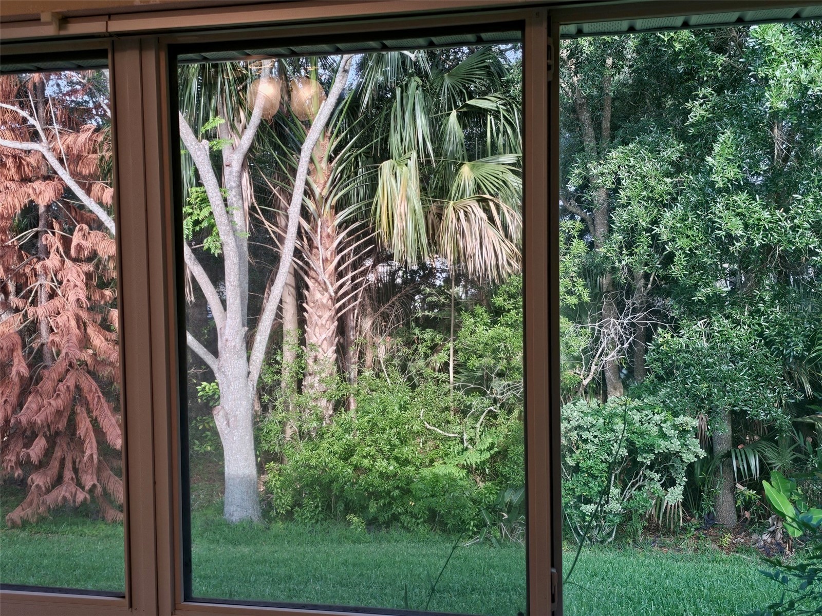 5351 Aurora Drive Leesburg FL 34748 O6414429 image37