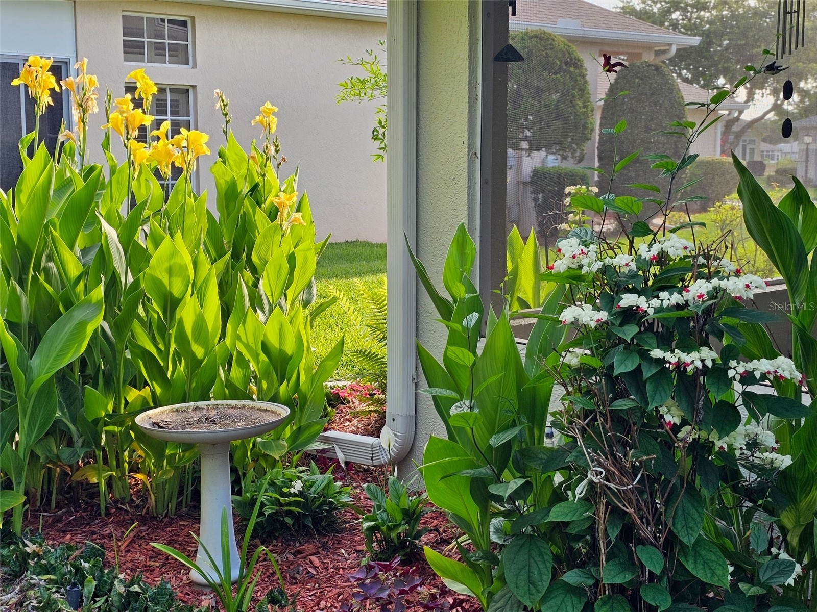 5351 Aurora Drive Leesburg FL 34748 O6414429 image42