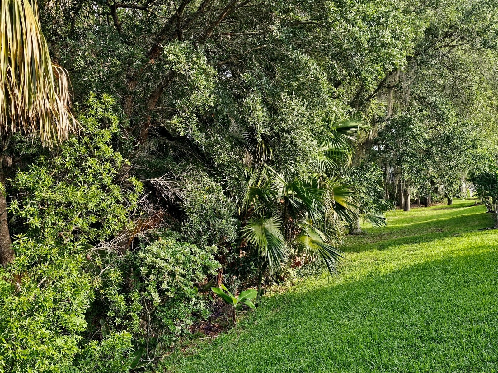 5351 Aurora Drive Leesburg FL 34748 O6414429 image43