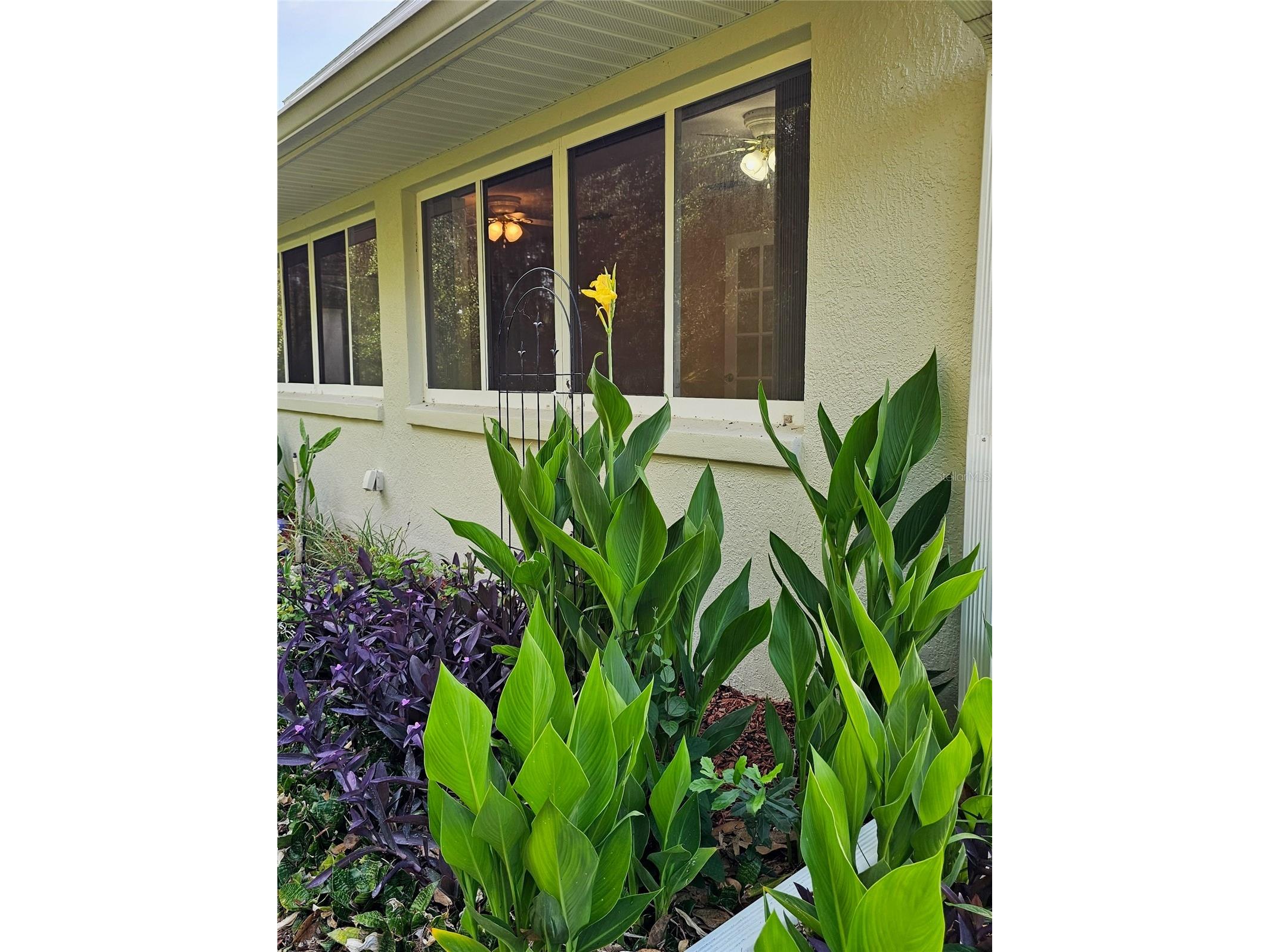 5351 Aurora Drive Leesburg FL 34748 O6414429 image45