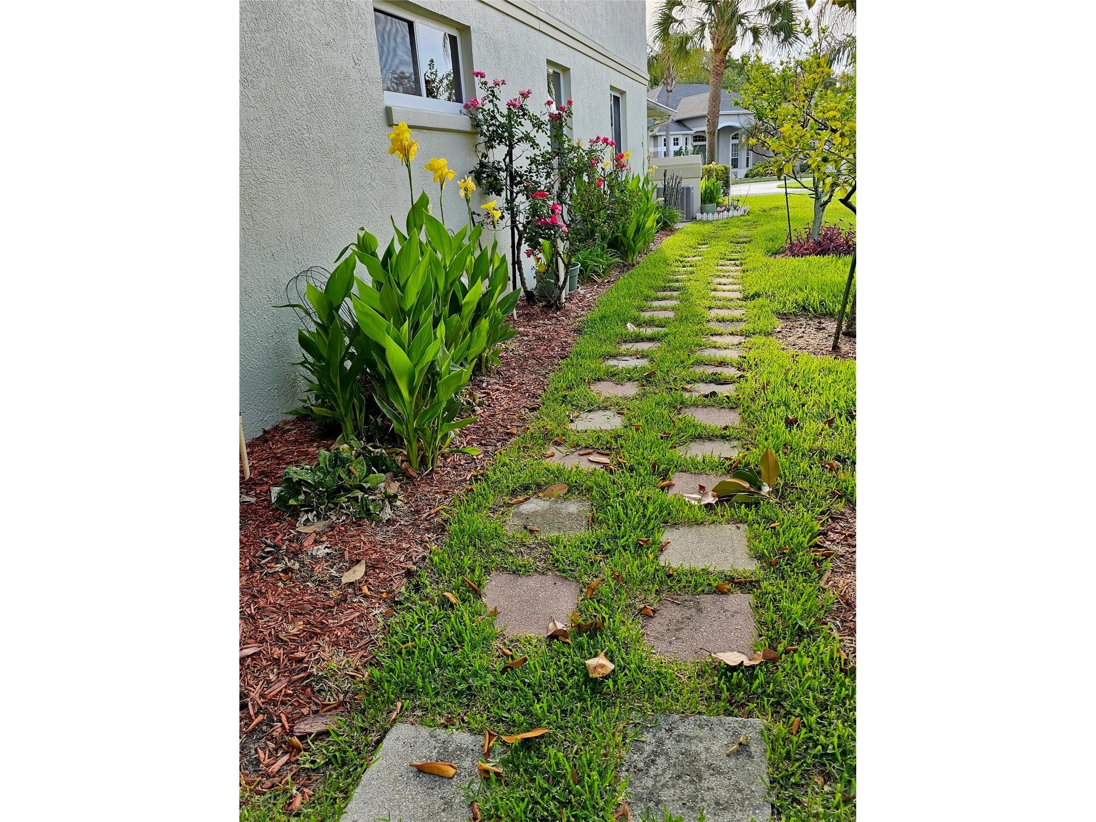 5351 Aurora Drive Leesburg FL 34748 O6414429 image46