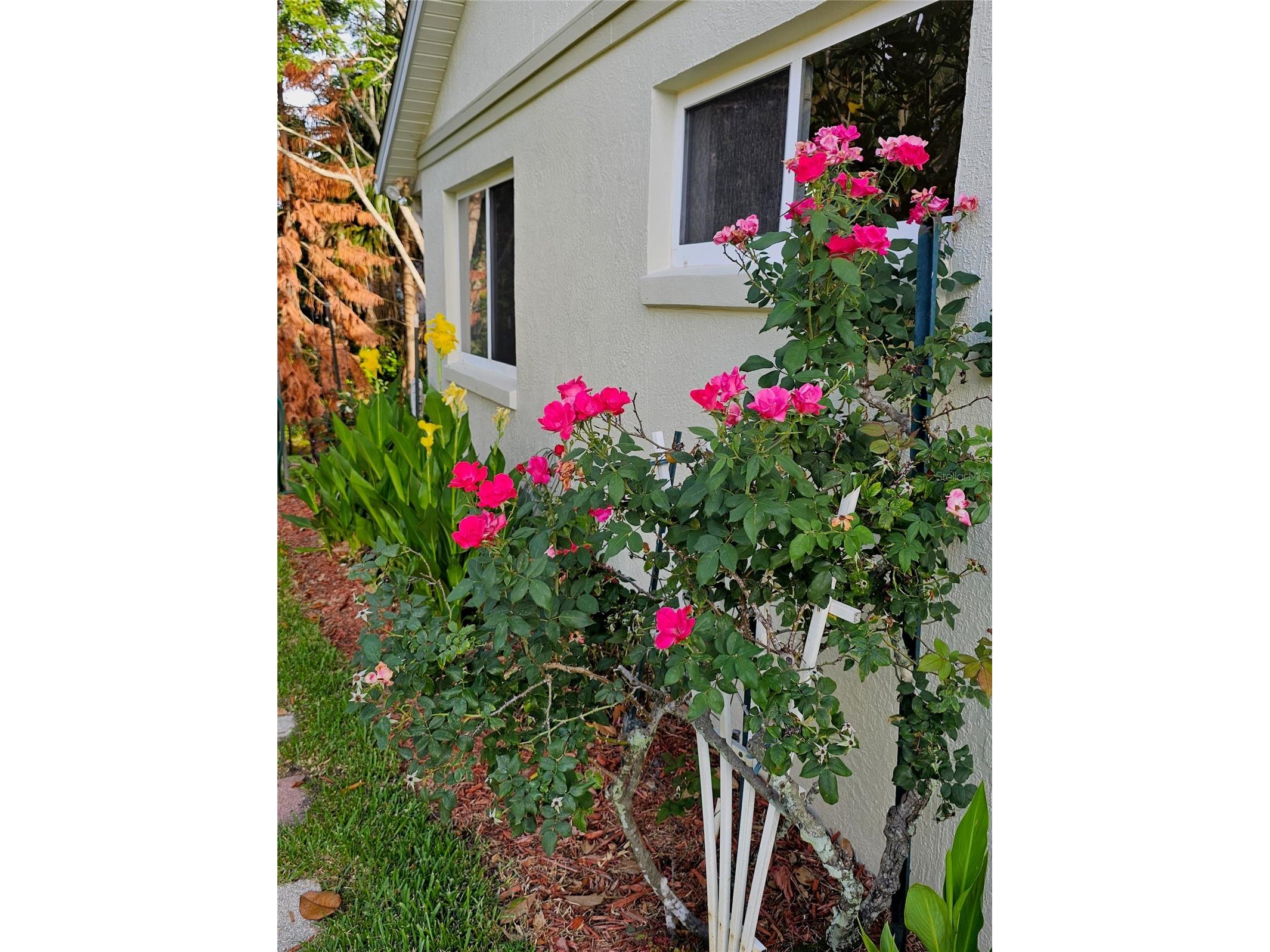 5351 Aurora Drive Leesburg FL 34748 O6414429 image48