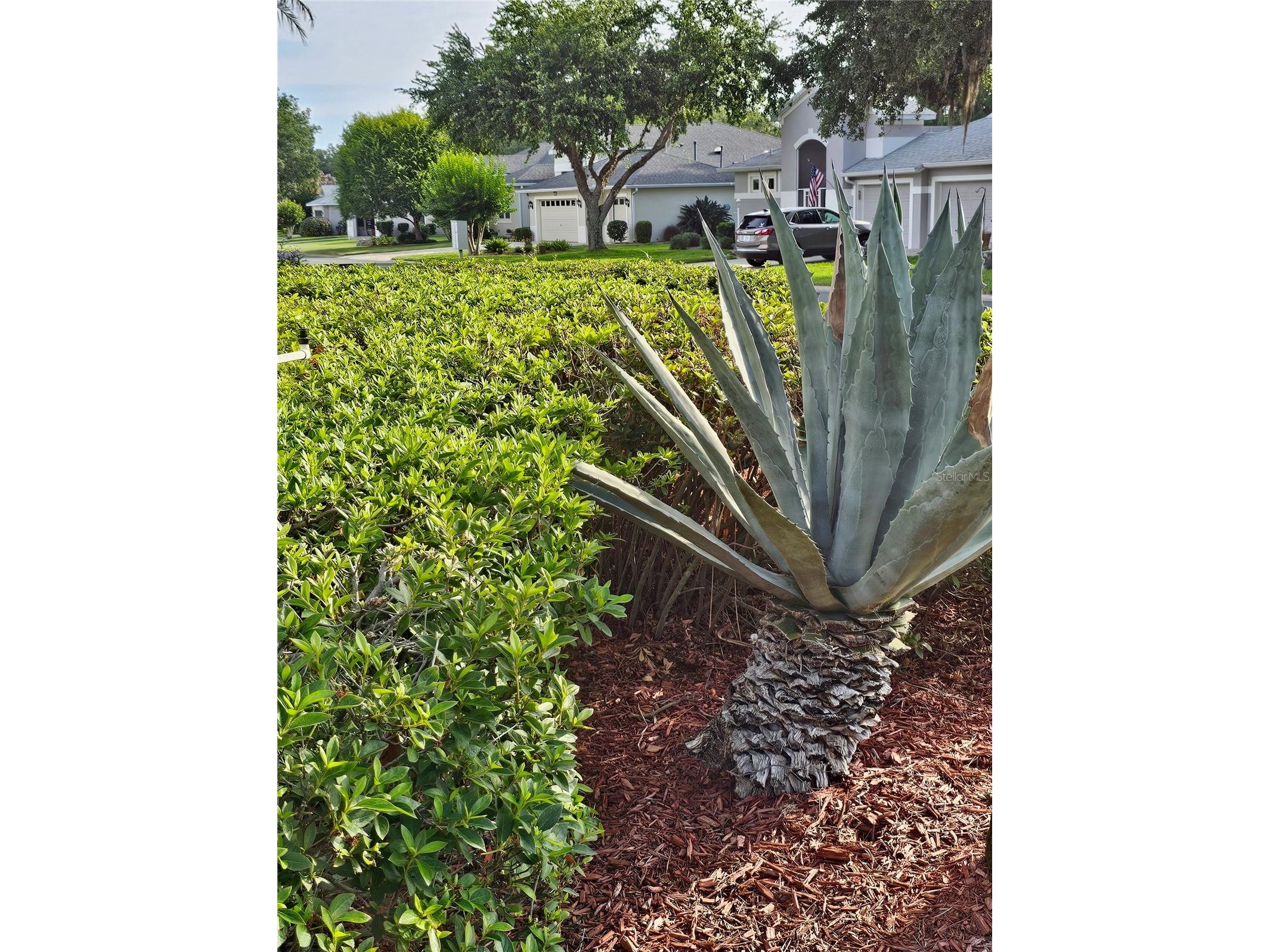 5351 Aurora Drive Leesburg FL 34748 O6414429 image49